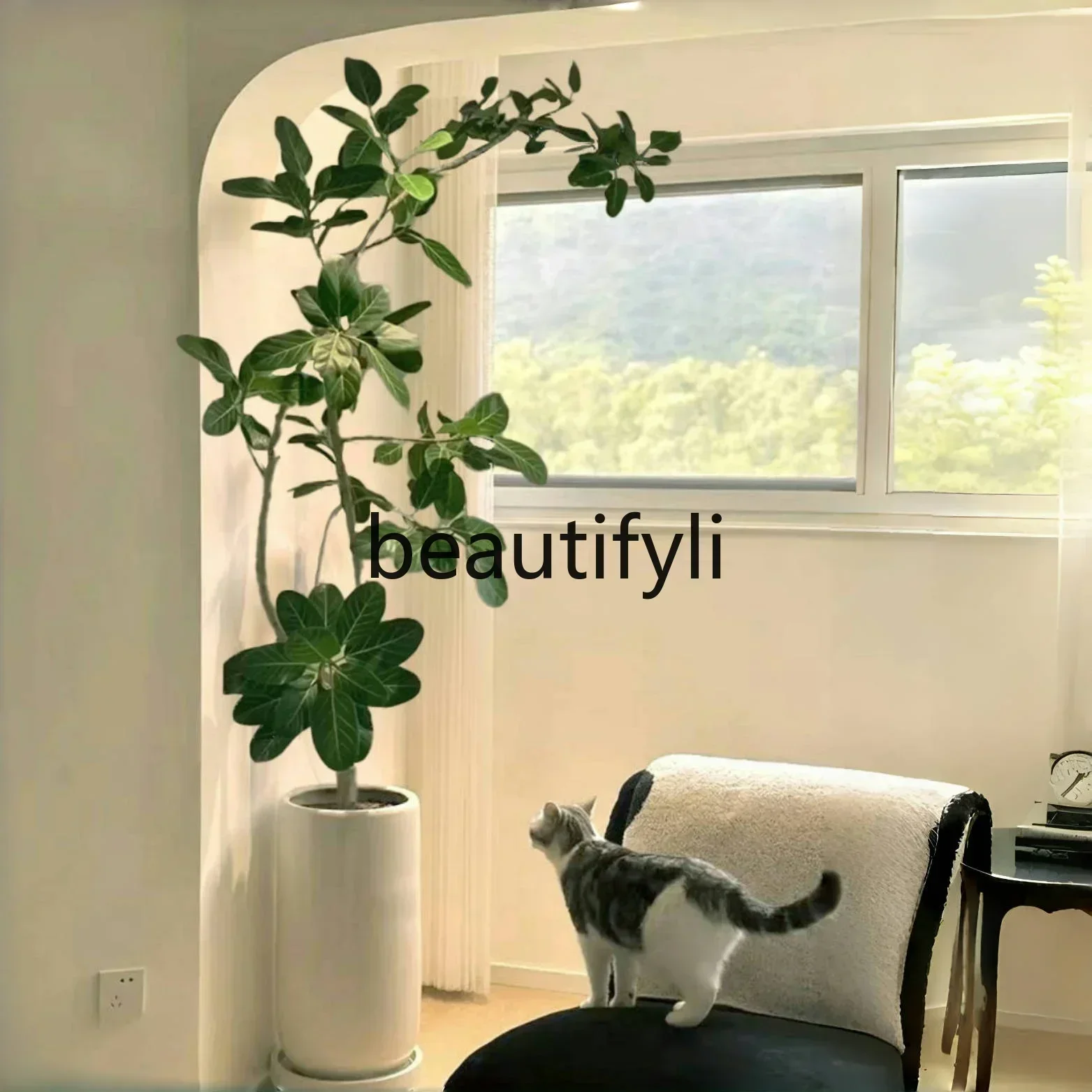 view