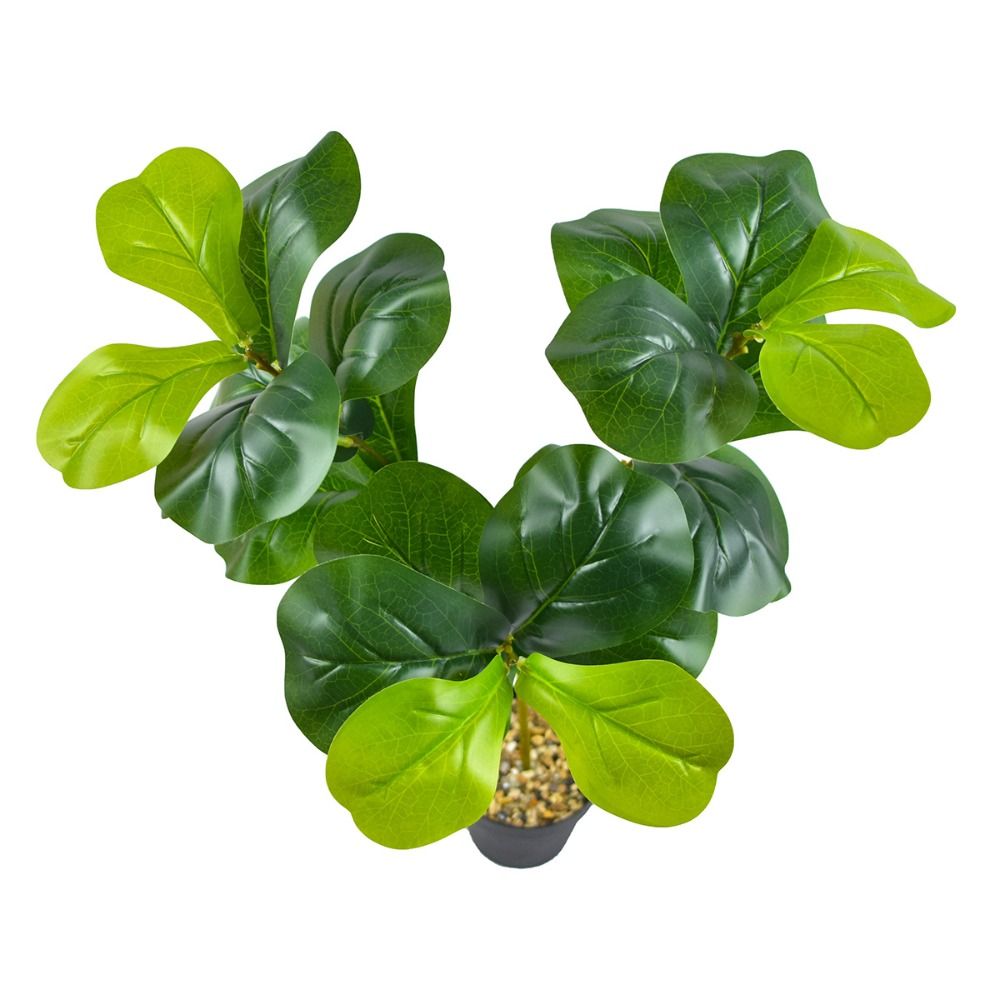 view